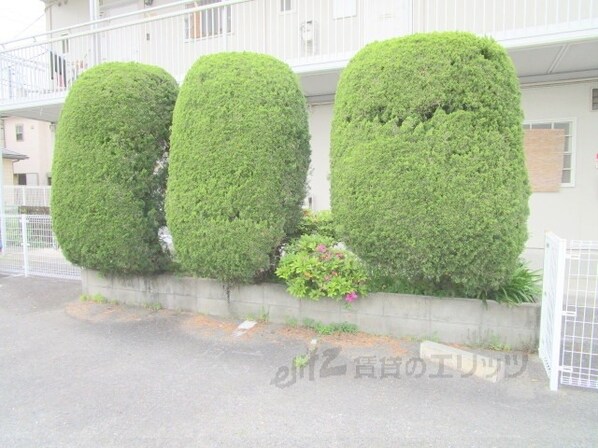 松村ハイツＤ棟の物件内観写真